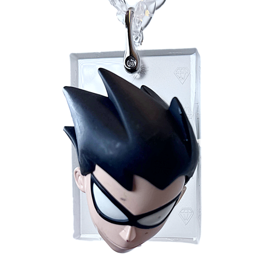 Teen Titans Robin Head Pendant